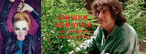 эйфоретик Елизово