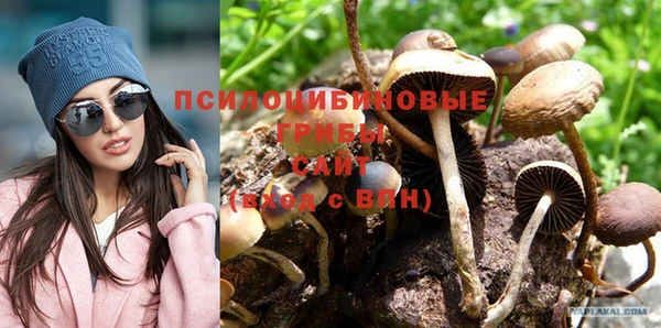 эйфоретик Елизово