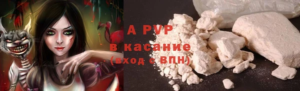эйфоретик Елизово