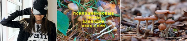 соль ск Елабуга