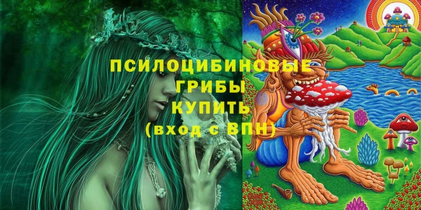 гашиш Ельня