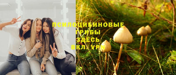 эйфоретик Елизово